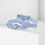 luxe light blue collier personnalisé premium pour animaux de compagnie (argent)